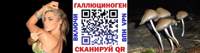 Галлюциногенные грибы Cubensis  мега tor  Яровое 